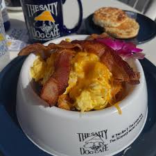 The Salty Dog Bowl at The Salty Dog